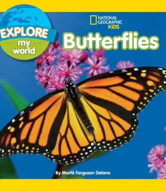 Explore My World Butterflies