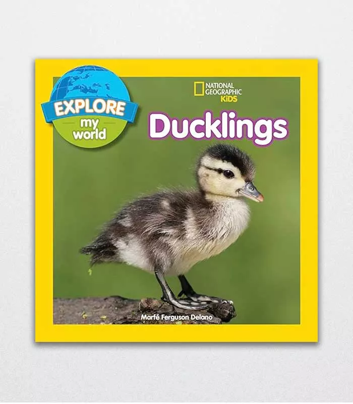 Explore My World Ducklings By Marfe Ferguson Delano 