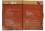 History of Islam Uthman bin Affan